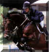 STUD_RIDER.jpg (91707 bytes)